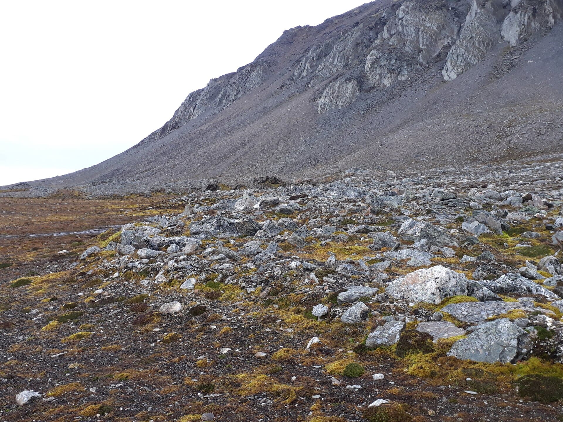 Rouyet Svalbard 20180904